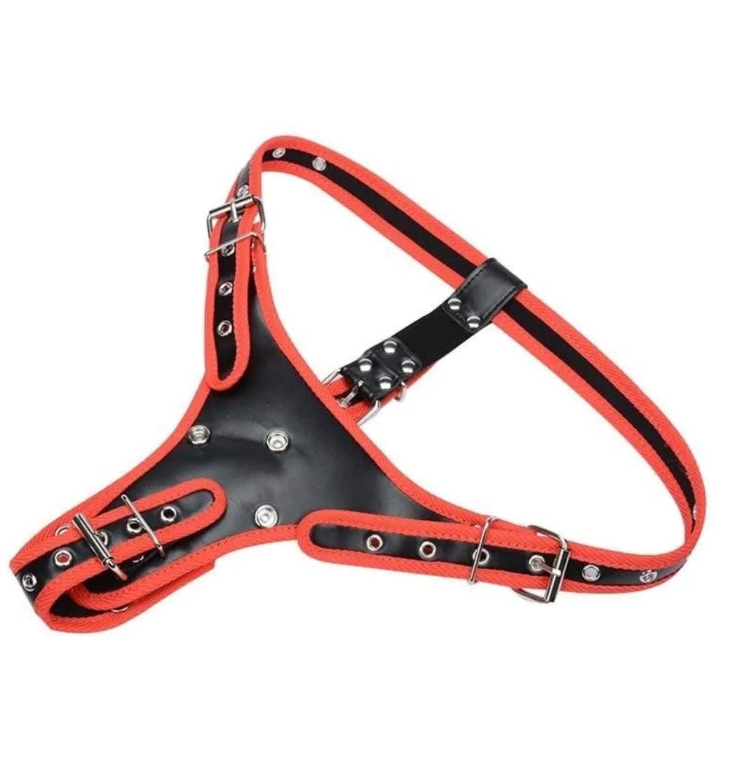 3 in one strap*on TH Shop